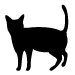 猫01